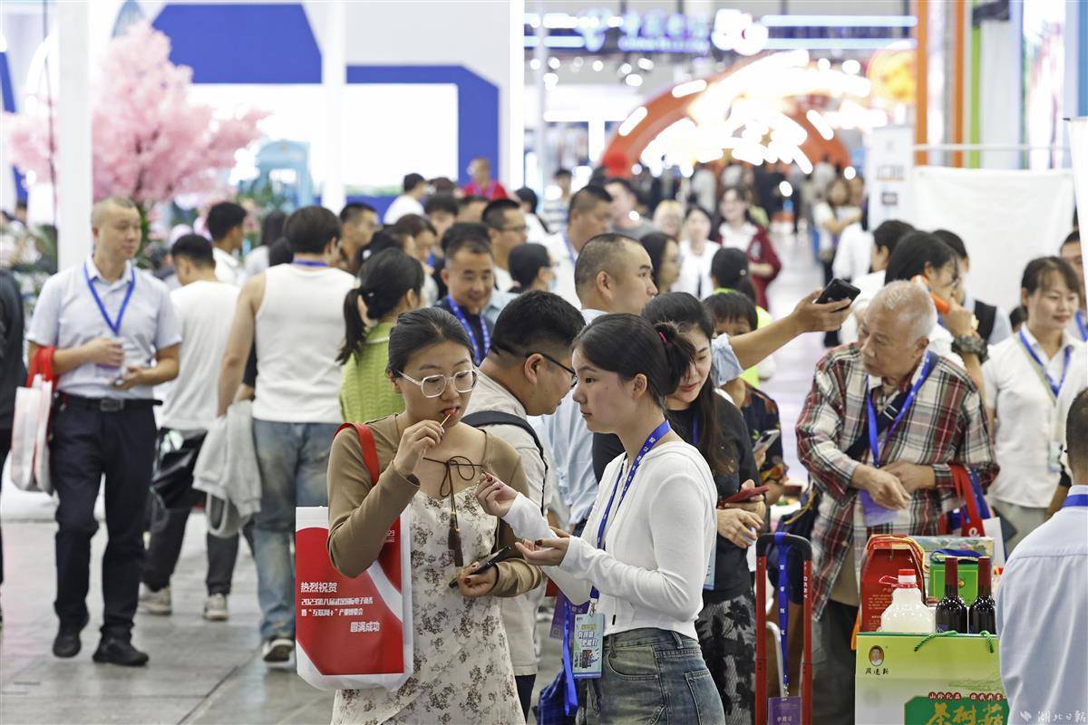 双色球走势图带连线