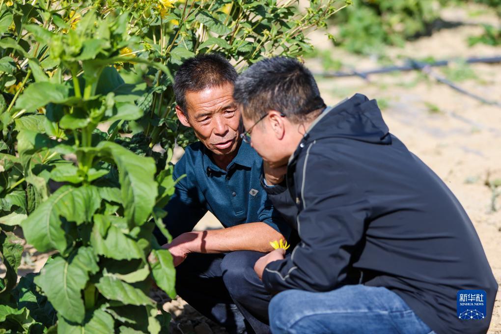 捕鱼上下分支付宝